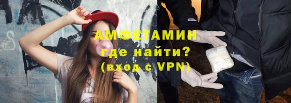 сатива Бородино