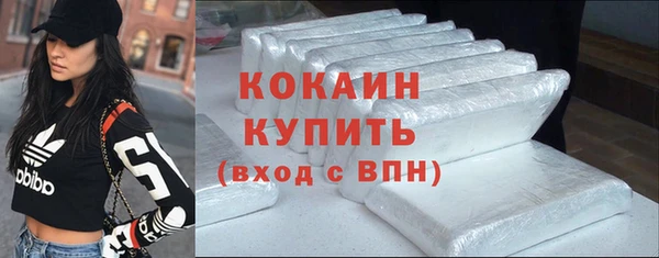 сатива Бородино