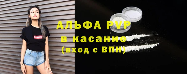 сатива Бородино