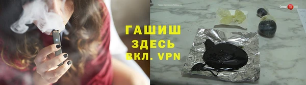 сатива Бородино