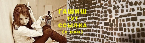 сатива Бородино