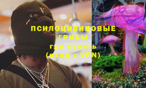 МДПВ Бугульма