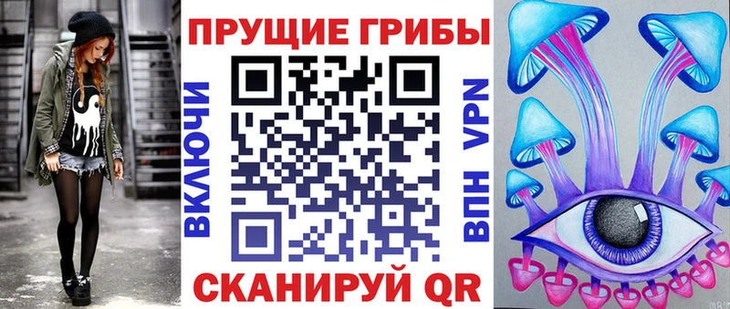 купить наркотик  Кириши  blacksprut tor  Псилоцибиновые грибы ЛСД 